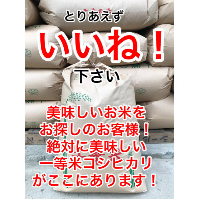 食品/飲料/酒料亭との取引がある最高品質一等米コシヒカリ玄米20キロ。本物のコシヒカリを食卓へ