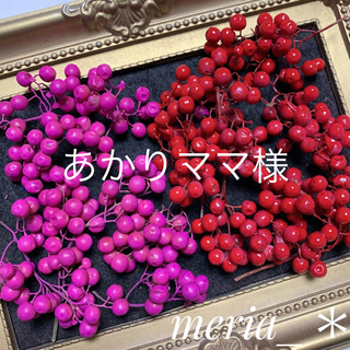ペッパーベリー　レッド&ピンク　ハーバリウム バレンタイン　花材　春(プリザーブドフラワー)