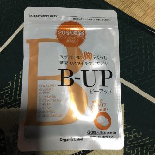 B-up(その他)