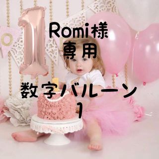 Romi様専用(その他)