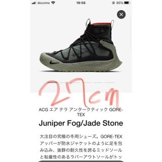 ナイキ(NIKE)のナイキ　ACG NIKE ACG エアテラアンタークティック　GORE-TEX(スニーカー)