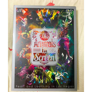 The Animals in Screen DVD / ラスベガス(ミュージック)