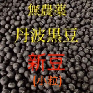 無農薬丹波黒豆　新豆　小粒(野菜)