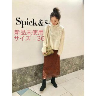 スピックアンドスパン(Spick & Span)の新品未使用 Spick and Span ラッセルレーススカート(ロングスカート)