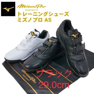 ミズノ(MIZUNO)のミズノプロ 野球 トレーニングシューズ 29cm 11GT190100(シューズ)