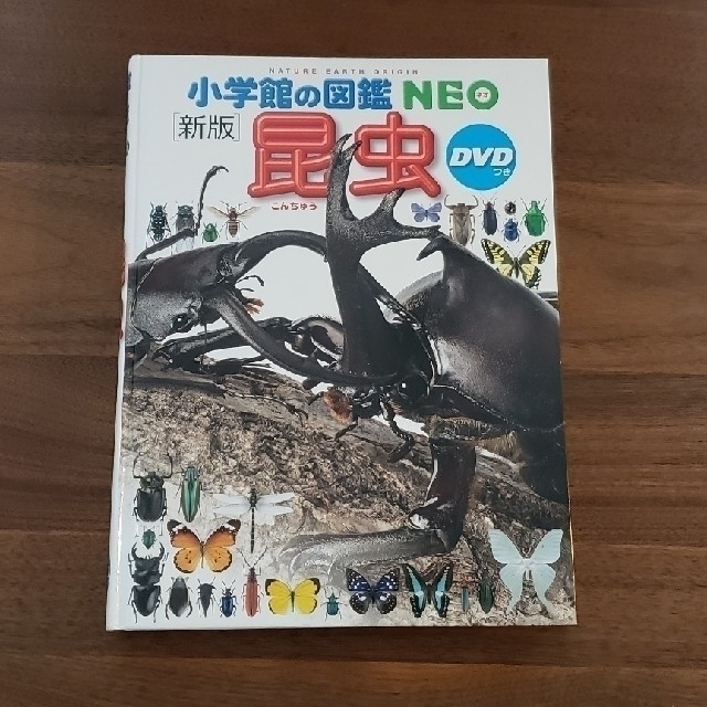 小学館(ショウガクカン)の小学舘の図鑑　NEO 昆虫 エンタメ/ホビーの本(語学/参考書)の商品写真