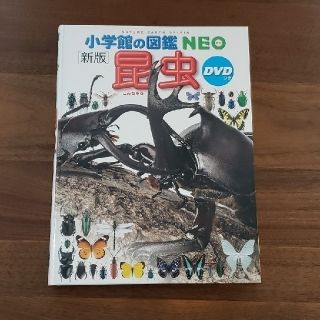 ショウガクカン(小学館)の小学舘の図鑑　NEO 昆虫(語学/参考書)