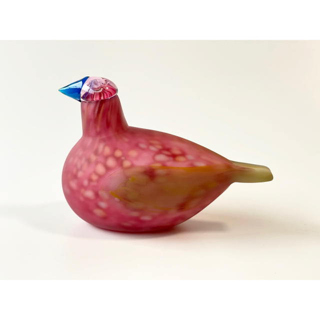 期間限定キャンペーン Male Grosbeak Pine - iittala Matte イッタラ