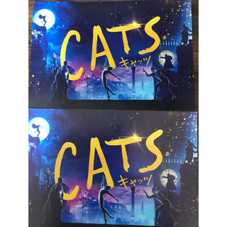 cats ポストカード　2枚(洋画)