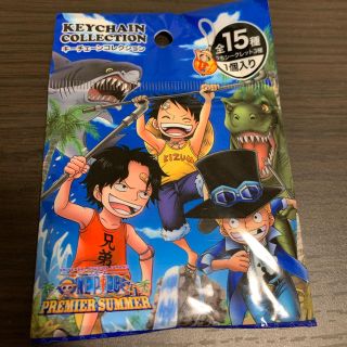 ユニバーサルスタジオジャパン One Piece キャラクターグッズの通販 58点 Usjのエンタメ ホビーを買うならラクマ