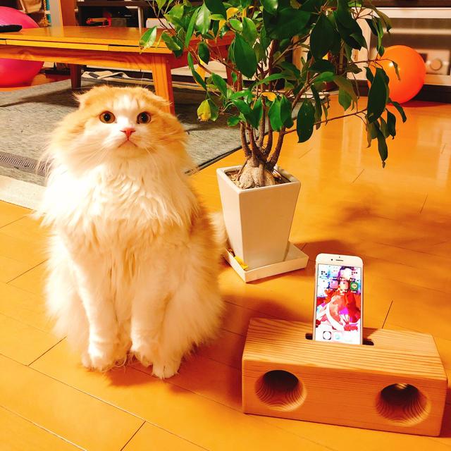 猫大好き❤【スマホ スピーカー】木製◻️一点物◻️オーダーメイド 猫大好き❤【スマホ スピーカー】木製◻️一点物◻️オーダーメイド