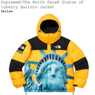 シュプリーム(Supreme)のSupreme The North Face Baltoro バルトロ　Mサイズ(ダウンジャケット)