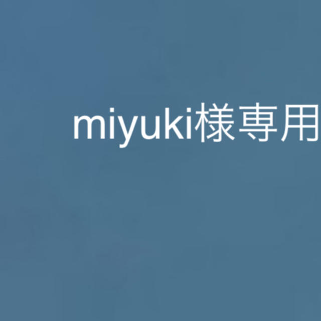 ホットセール格安 miyuki様専用 その他 - LITTLEHEROESDENTISTRY
