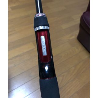 ダイワ(DAIWA)のスティーズ。スカイレイパワープラス(ロッド)