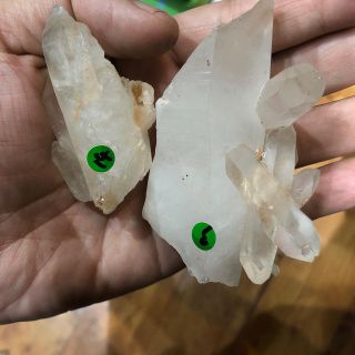 nishida様専用商品(その他)
