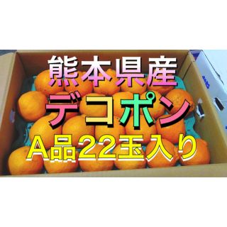 熊本県産デコポンA品22玉入り(フルーツ)