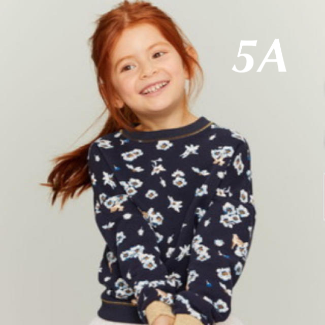 PETIT BATEAU(プチバトー)のプチバトー  2019AW  スウェットプリント長袖プルオーバー_キッズN キッズ/ベビー/マタニティのキッズ服女の子用(90cm~)(Tシャツ/カットソー)の商品写真