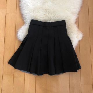 アレキサンダーワン(Alexander Wang)のAlexander Wang(ミニスカート)