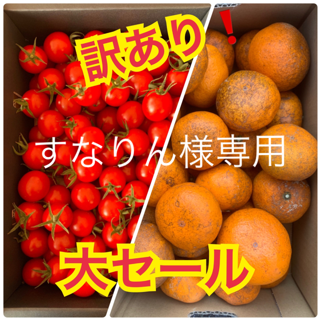 すなりん様専用　訳あり❗️みかん2kg  キャロル セブン1kg 食品/飲料/酒の食品(フルーツ)の商品写真