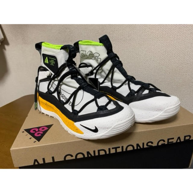 NIKE(ナイキ)のナイキ　ACG エア　テラ　アンタークティック メンズの靴/シューズ(スニーカー)の商品写真