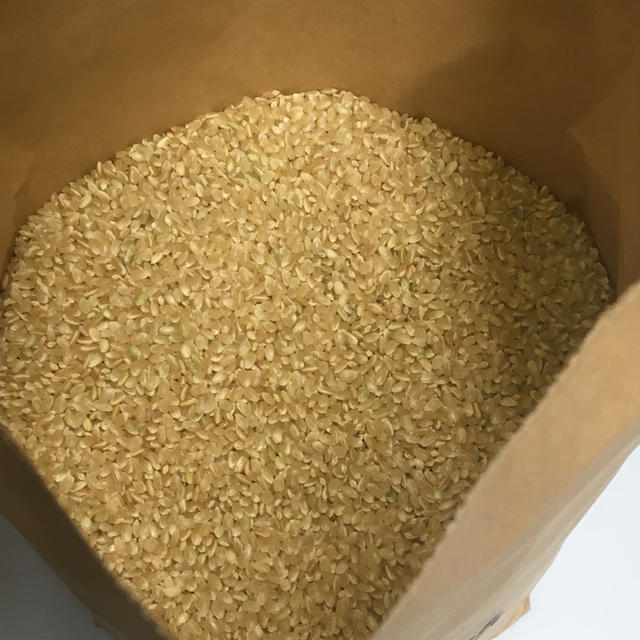 無農薬 玄米 コシヒカリ 20kg(5kg×4袋)令和元年 徳島県産