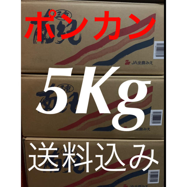 ポンカン　傷あり訳あり約5Kg 食品/飲料/酒の食品(フルーツ)の商品写真