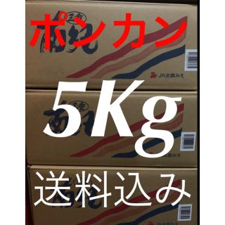 ポンカン　傷あり訳あり約5Kg(フルーツ)