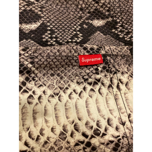 Supreme the North Face snake coaches