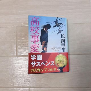 高校事変 (文学/小説)