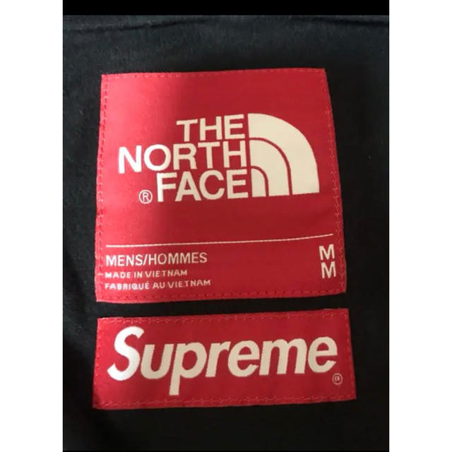 Supreme(シュプリーム)のSupreme The North Face Mountain Parka 雪山 メンズのジャケット/アウター(マウンテンパーカー)の商品写真