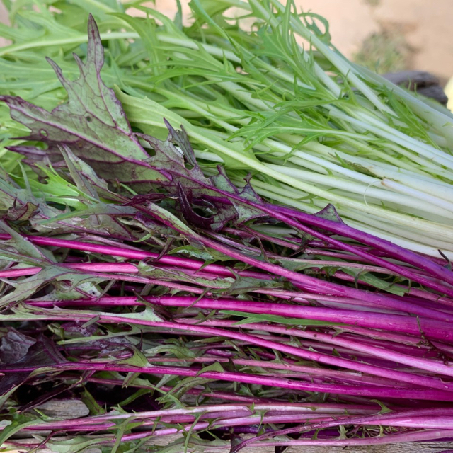 新鮮野菜詰め合わせ！京都 露地栽培 無農薬 減農薬野菜をお届け 食品/飲料/酒の食品(野菜)の商品写真