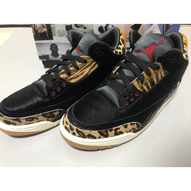 NIKEナイキNIKE Air Jordan 3 Retro Animal Pack