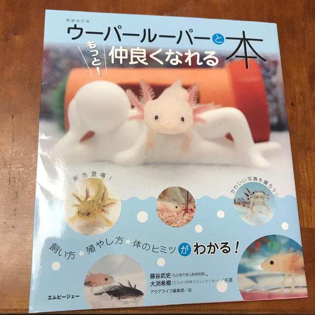 ウーパールーパーともっと！仲良くなれる本 飼い方・殖やし方・体のヒミツがわかる！ エンタメ/ホビーの本(住まい/暮らし/子育て)の商品写真