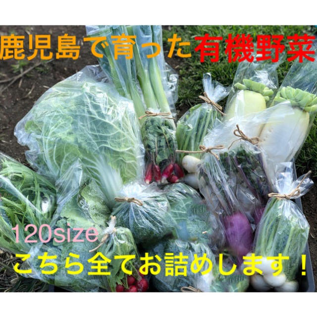 鹿児島で育った有機野菜詰め合わせ　120サイズ 食品/飲料/酒の食品(野菜)の商品写真