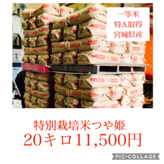 宮城県産つや姫 20㎏(精米・玄米) | gualterhelicopteros.com.br