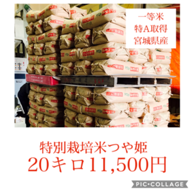 食品再入荷✼恩むす美✼宮城県産つや姫20キロ