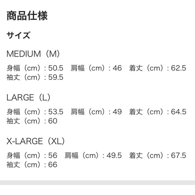 Champion(チャンピオン)のラインリブ裏毛スウェットプルパーカー メンズのトップス(パーカー)の商品写真