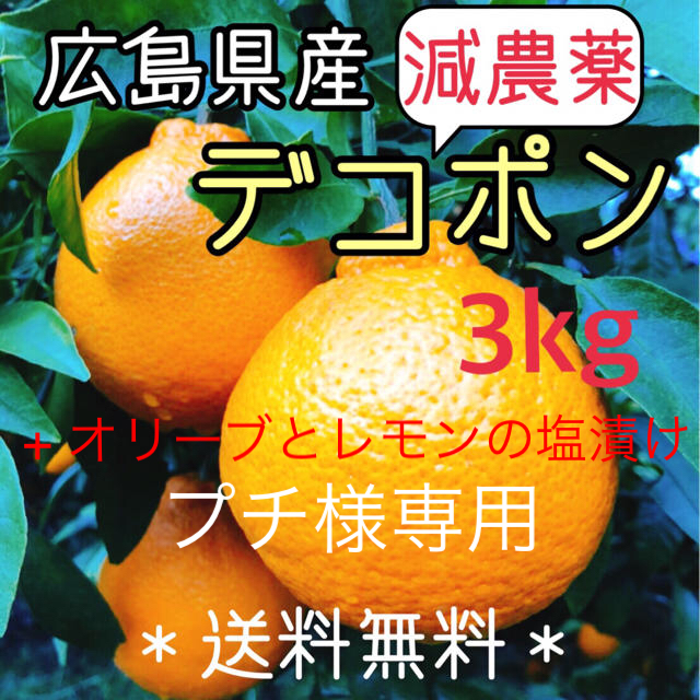 【プチ様専用】減農薬 もぎたて デコポン 3キロ ノーワックス 広島県 食品/飲料/酒の食品(フルーツ)の商品写真