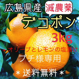【プチ様専用】減農薬 もぎたて デコポン 3キロ ノーワックス 広島県(フルーツ)