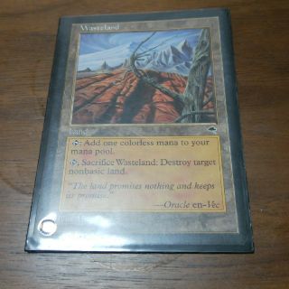 マジックザギャザリング(マジック：ザ・ギャザリング)の【値下可能】MTG 不毛の大地(シングルカード)