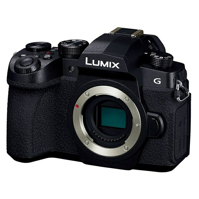 Panasonic LUMIX DC-G99 ボディ一式 黒 ブラックカメラ