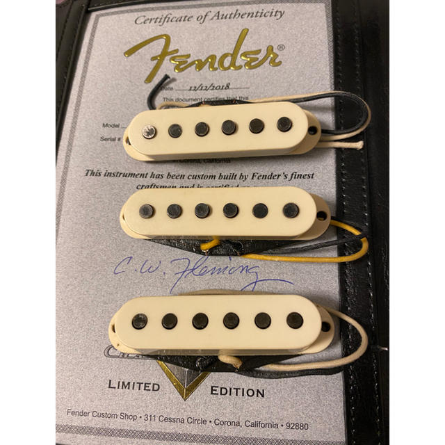 Fender Tomatillo + ancho poblano pickup