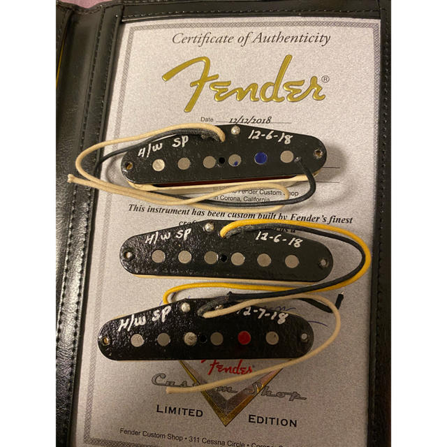 Fender Tomatillo + ancho poblano pickup