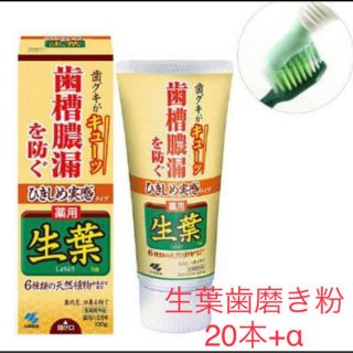 コバヤシセイヤク(小林製薬)の歯槽膿漏歯周病に◆小林製薬生葉歯磨き粉新品ハミガキ粉オーラルケア歯ブラシ消耗品(歯磨き粉)