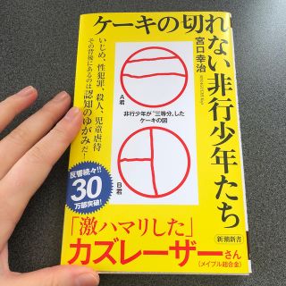 ケーキの切れない非行少年たち(文学/小説)