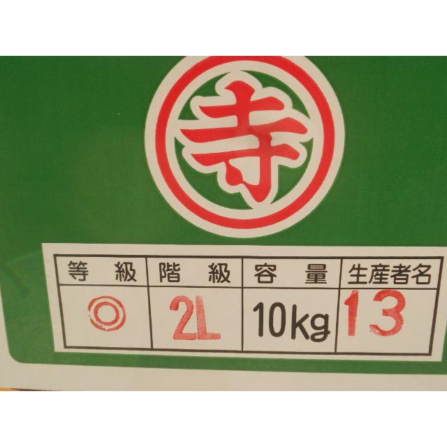 激安　高知産　土佐文旦　約１０Ｋｇ　２L　家庭用 食品/飲料/酒の食品(フルーツ)の商品写真