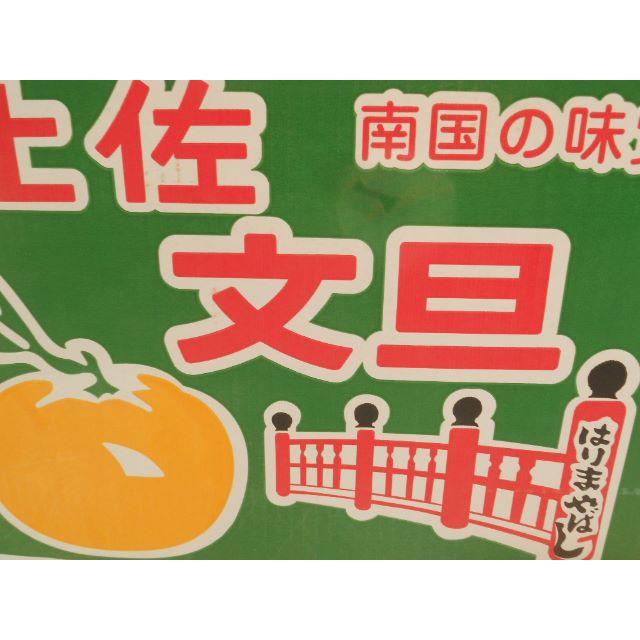 激安　高知産　土佐文旦　約１０Ｋｇ　２L　家庭用 食品/飲料/酒の食品(フルーツ)の商品写真