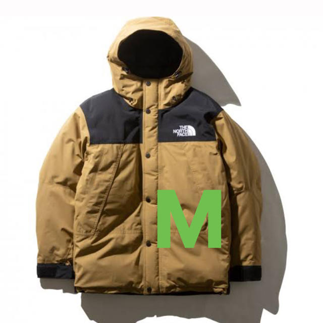 north face mountain down jacket M