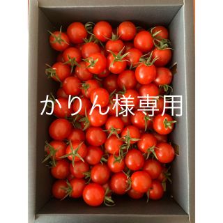 かりん様専用　完熟濃厚ミニトマト  2kg ☆キャロルセブン☆ 農家直送(野菜)