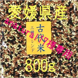 anatural17様専用  古代米3種ブレンド　愛媛県産　800ｇ(米/穀物)